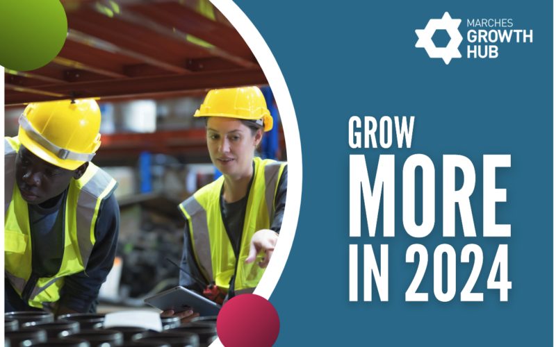 The Grow More campaign – grew more than expected!